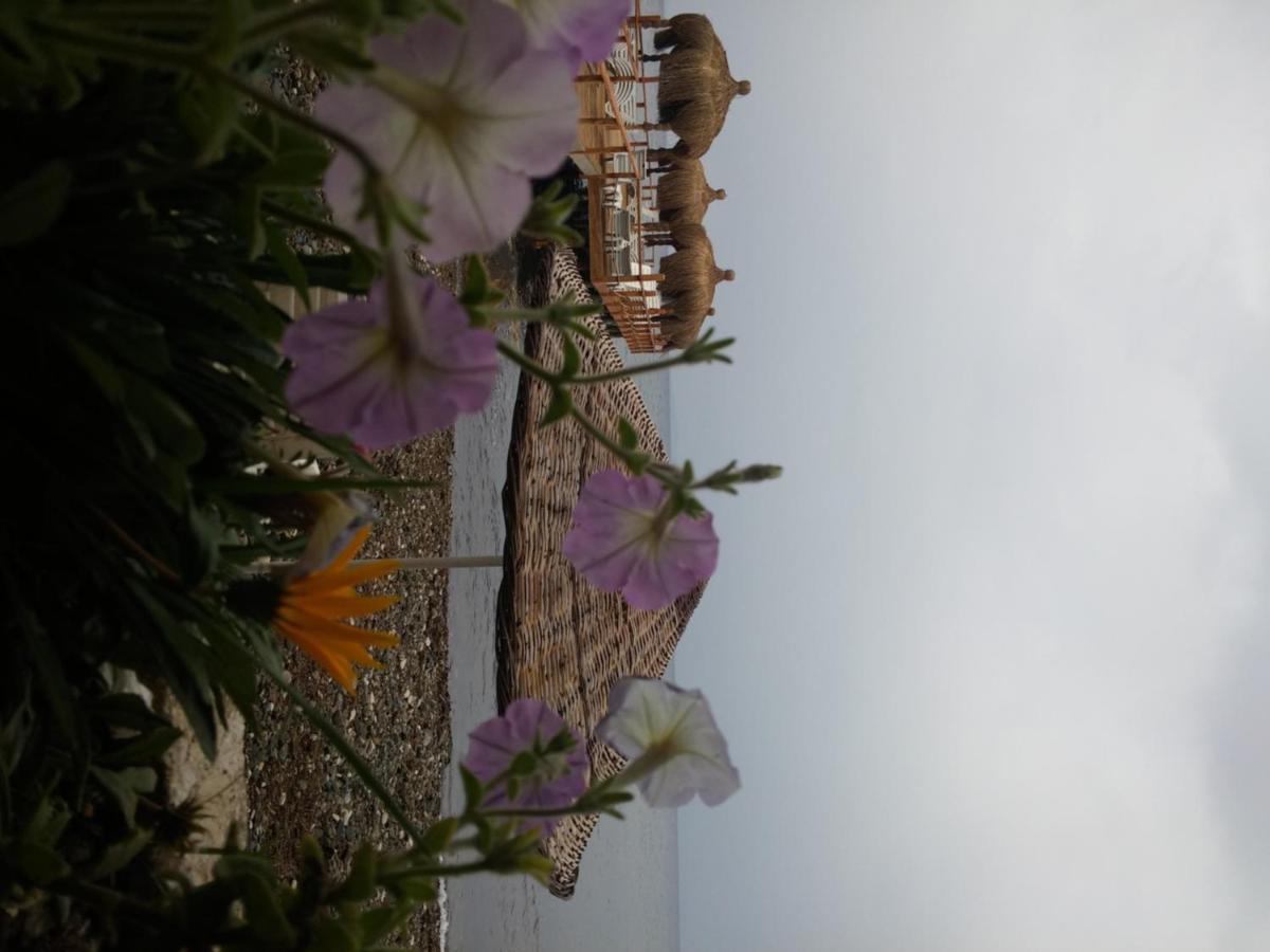 Kervan Tatil Koeyue Edremit (Balikesir) Exterior foto