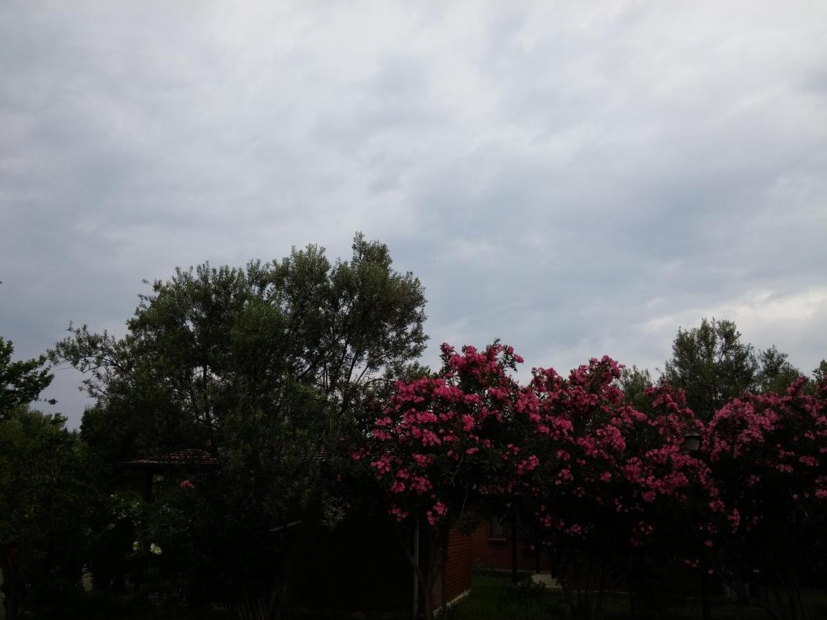 Kervan Tatil Koeyue Edremit (Balikesir) Exterior foto